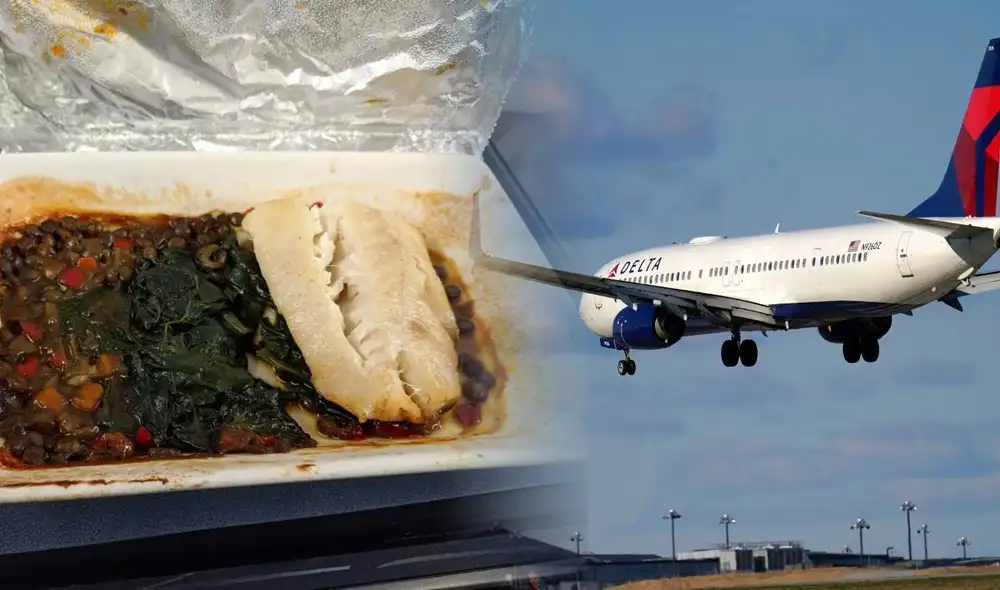 Avión aterriza de emergencia luego de alimentar a sus pasajeros con comida malograda. Foto: composición LR/ Delta Airlines/Bussiness insider España