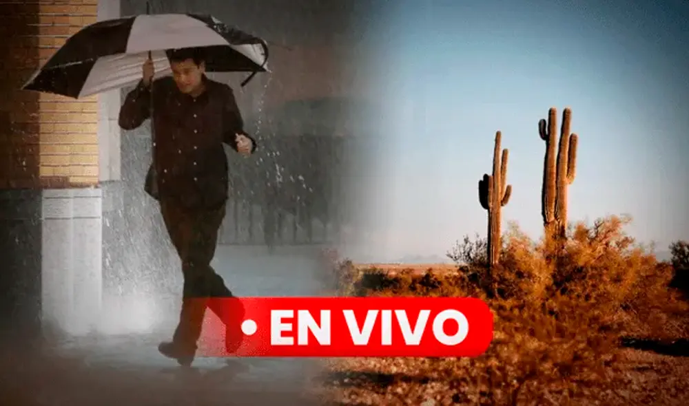 Consulta el clima en Texas hoy, 17 de octubre de 2024, según National Weather Service . Foto: Composición LR/Freepik Consulta el clima en Texas hoy, 17 de octubre de 2024, según National Weather Service . Foto: Composición LR/Freepik