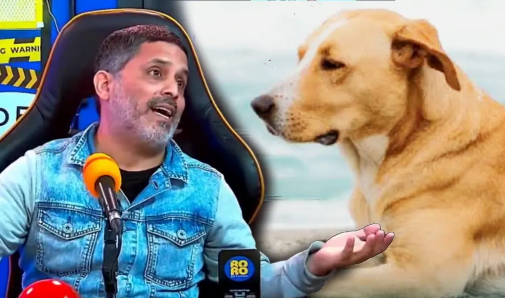 'Vaguito' fue una de las películas nacionales más vistas del 2024. Foto: composición LR/Ouke 'Vaguito' fue una de las películas nacionales más vistas del 2024. Foto: composición LR/Ouke