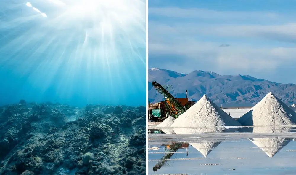 Con 230.000 millones de toneladas de litio en los océanos, esta tecnología podría satisfacer la creciente demanda global sin las desventajas de la minería convencional. Una solución sostenible para el futuro. Foto: composición LR Con 230.000 millones de toneladas de litio en los océanos, esta tecnología podría satisfacer la creciente demanda global sin las desventajas de la minería convencional. Una solución sostenible para el futuro. Foto: composición LR