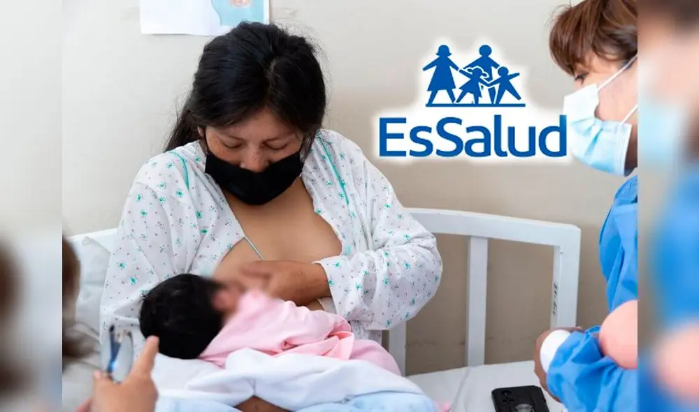 Madres de familia aseguradas en EsSalud pueden acceder al bono que brinda para ayudarlas en los primeros gastos. Foto: Composición LR/Andina.