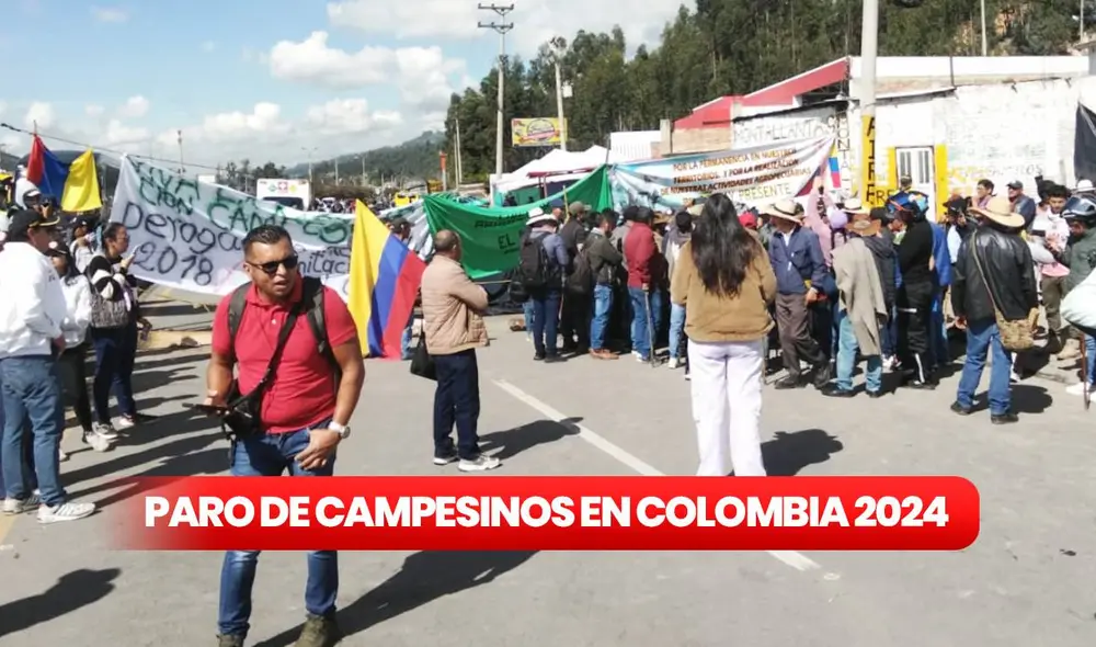 El 21 de octubre comenzó el paro indefinido de campesinos en Colombia. Foto: composición LR/X/WRadioColombia