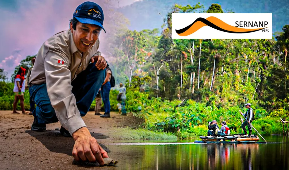 Para José Carlos Nieto Navarrete, la clave para proteger la biodiversidad de la Amazonía radica en integrar a las comunidades locales en el proceso de conservación. Foto: composición LR/Andina/Minam