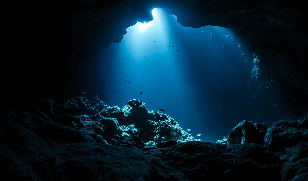 Científicos encontraron especies como gusanos tubícolas gigantes y bivalvos en respiraderos hidrotermales, desafiando condiciones hostiles de presión. Foto: Getty Images