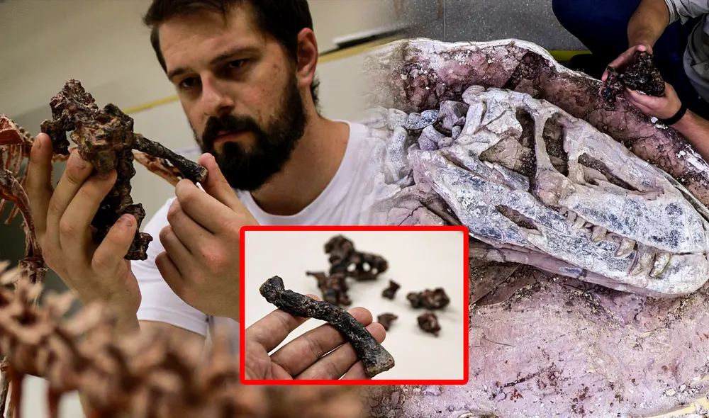 La investigación, liderada por la Universidad Federal de Santa María, fue publicada en la revista científica Gondwana Research. Foto: Composición LR/UFSM La investigación, liderada por la Universidad Federal de Santa María, fue publicada en la revista científica Gondwana Research. Foto: Composición LR/UFSM