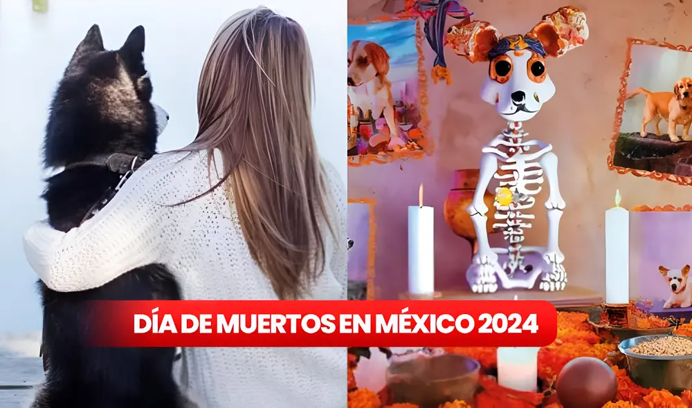 Conoce una guía para crear una ofrenda adecuada para tus queridas mascotas fallecidas por el Día de Muertos en México 2024. Foto: composición LR/Depositfotos/SENASICA Conoce una guía para crear una ofrenda adecuada para tus queridas mascotas fallecidas por el Día de Muertos en México 2024. Foto: composición LR/Depositfotos/SENASICA