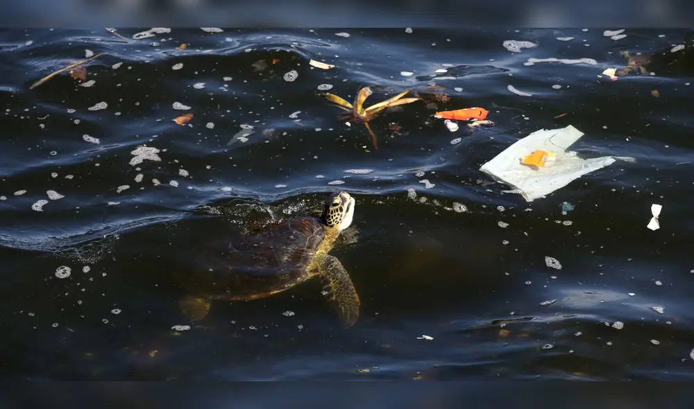 Los plásticos arrojados al océano son un grave problema para la biodiversidad marina y la salud humana. Foto: Marcelo Sayão / EFE
