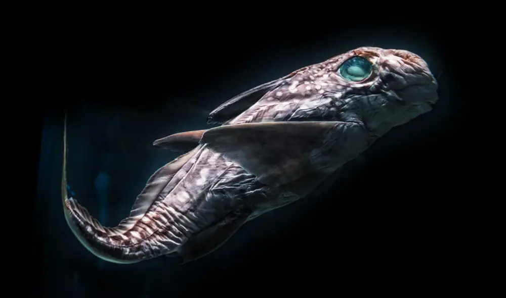 Científicos identificaron una nueva especie de "pez dragón", el Akarotaxis gouldae, gracias al análisis genético de larvas en la Antártida. Foto: Istock Científicos identificaron una nueva especie de "pez dragón", el Akarotaxis gouldae, gracias al análisis genético de larvas en la Antártida. Foto: Istock