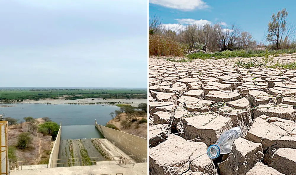 Agricultores pierden sus cultivos debido a la crisis hídrica en Piura. Foto: composición de Gerson Cardoso/La República Agricultores pierden sus cultivos debido a la crisis hídrica en Piura. Foto: composición de Gerson Cardoso/La República
