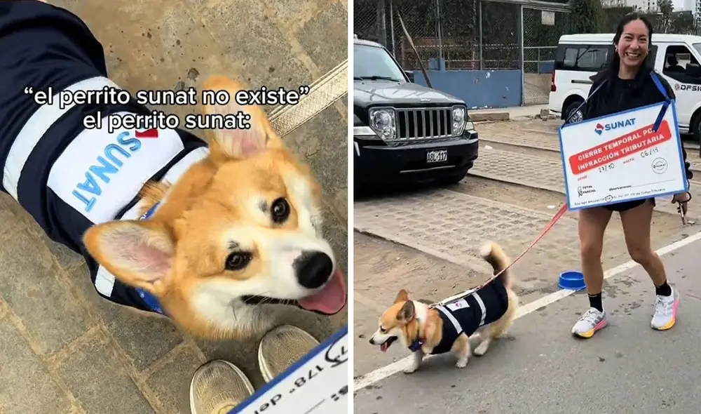 "El verdadero terror", describieron usuarios en redes. Foto: composición LR/ TikTok