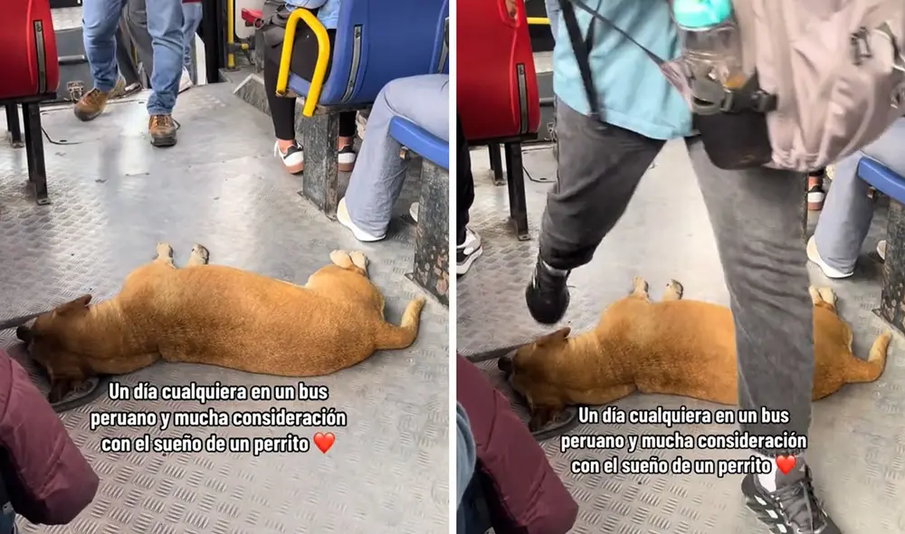 "El dueño descansando, los pasajeros grabando y el chofer facturando", reaccionaron usuarios. Foto: composición LR/ TikTok "El dueño descansando, los pasajeros grabando y el chofer facturando", reaccionaron usuarios. Foto: composición LR/ TikTok