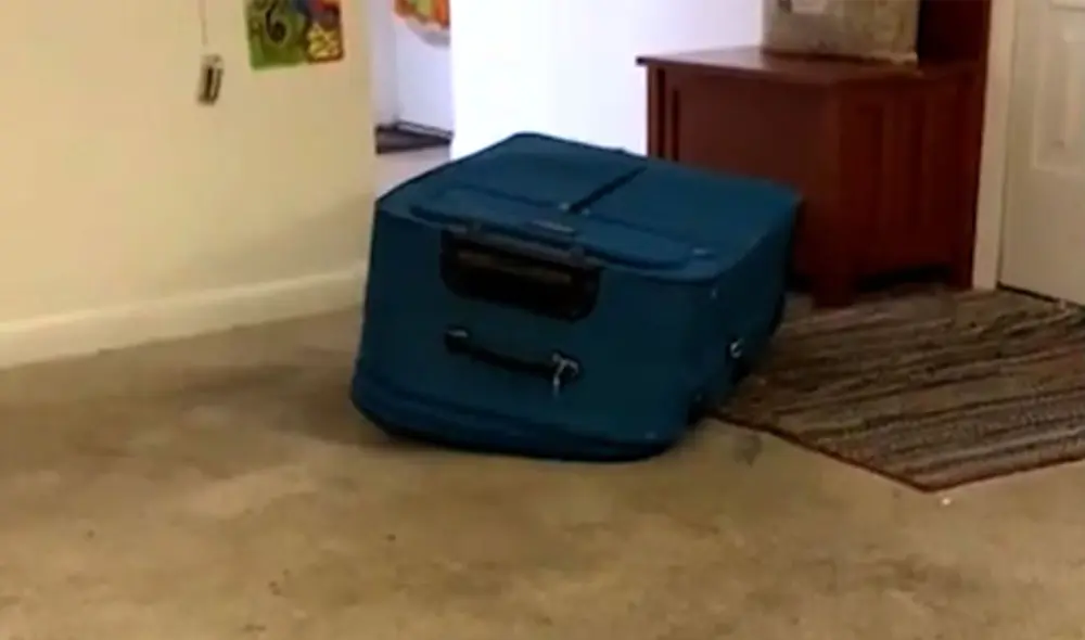 La defensa de Boone argumentó que ella actuó sin intención de matar y mencionó que había sufrido abuso por parte de Torres en el pasado. Foto: Captura