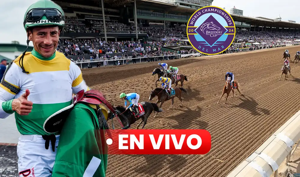 La Breeders' Cup 2024 tuvo la participación de 14 ejemplares en 2.000 metros sobre pista de arena. Foto: composición LR / America's Best Racing / AFP