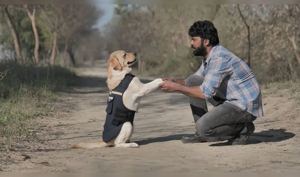 Película 'Charlie, un perro especial' lleva un mensaje contra el maltrato animal en los criaderos y la venta de mascotas. Foto: difusión