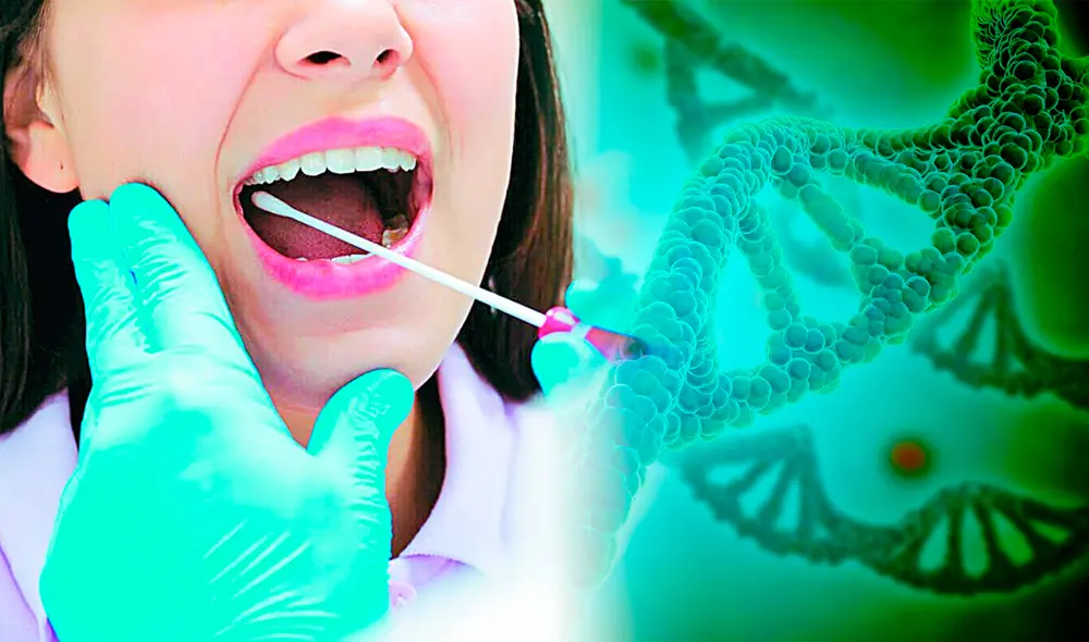 Estudio asegura que puede predecirse el riesgo de morir con solo un hisopo: células de la mejilla dan resultados precisos. Foto: composición LR / NAT GEO / Freepik Estudio asegura que puede predecirse el riesgo de morir con solo un hisopo: células de la mejilla dan resultados precisos. Foto: composición LR / NAT GEO / Freepik