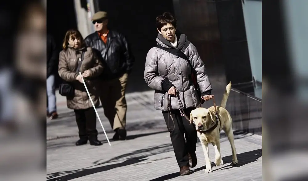 Pese a que seas millonario, puede ser elegible para recibir pagos mensuales en el Seguro Social de EE. UU. Foto: Composición LR/Infosalus