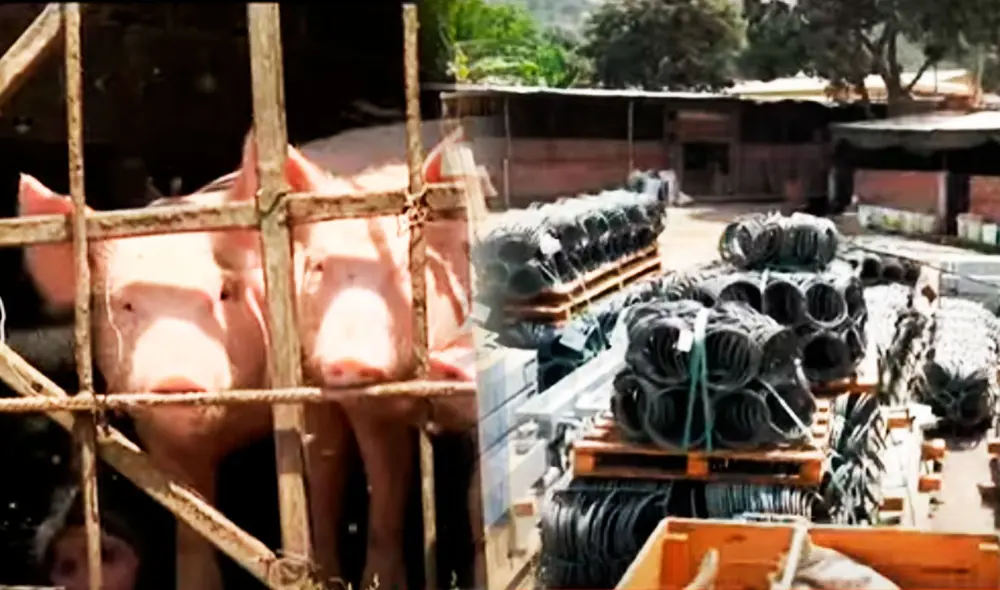 Pese a la necesidad urgente de su instalación, permanecen abandonadas, como si no tuvieran valor alguno. Foto: composición LR/captura Latina Pese a la necesidad urgente de su instalación, permanecen abandonadas, como si no tuvieran valor alguno. Foto: composición LR/captura Latina
