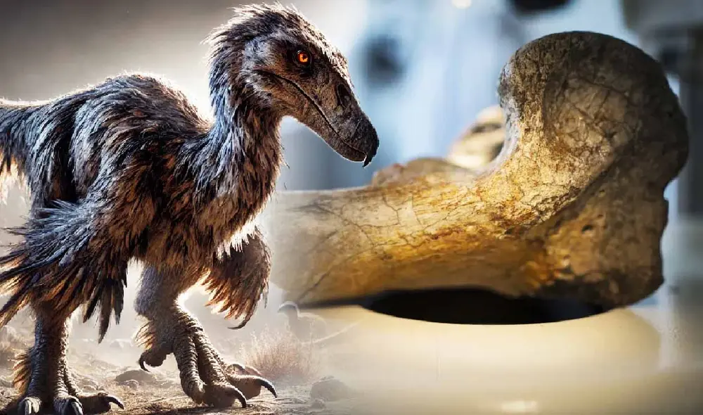 Un hallazgo sorprendente en el desierto de la Tatacoa revela un fósil de forusrácido, conocido como "ave del terror", que vivió hace 13 millones de años.Foto: composición LR/Dall.E/Nathaly Triana