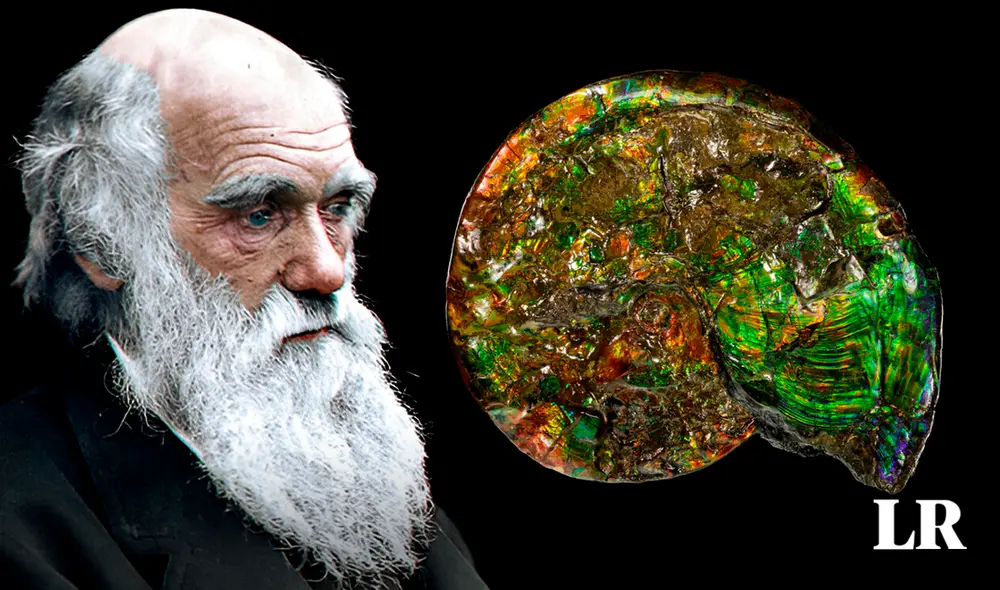 Este descubrimiento evolutivo ha encontrado aplicaciones en áreas como la oncología. Foto: composición LR/El periódico