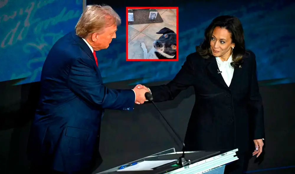 Donald Trump y Kamala Harris se definen este 5 de noviembre quien será el nuevo huésped de la Casa Blanca. Foto: La Tercera