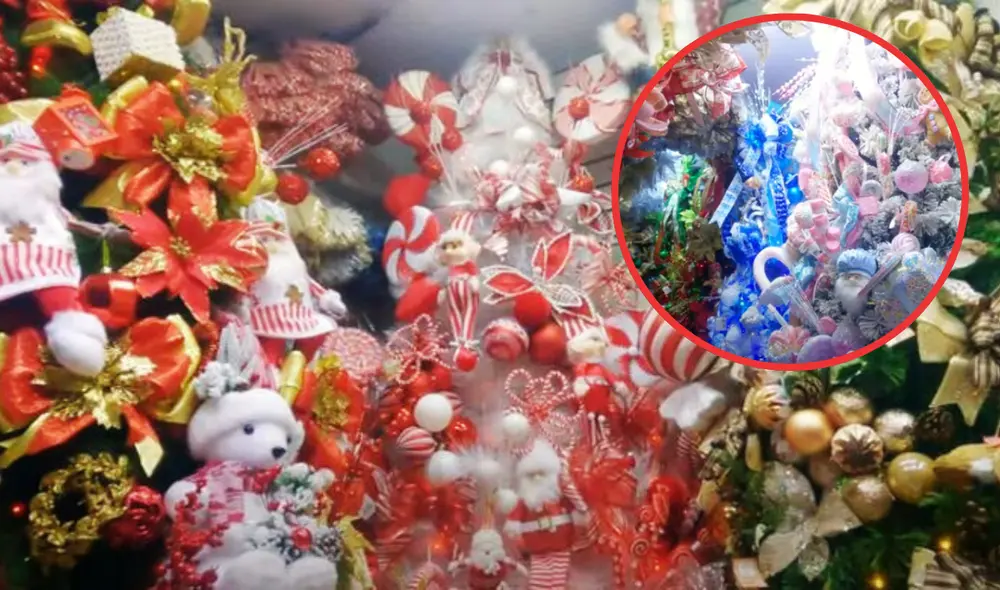 La feria del centro de Lima exhibe una diversa gama de árboles cuyos precios varían según el tamaño y tipo. Foto: composición LR/captura/SantoBrasa