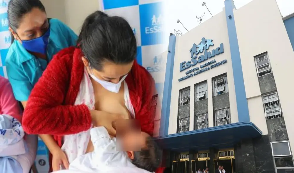 Madres aseguradas en EsSalud reciben este beneficio económico por lactancia a sus bebés recién nacidos. Foto: Composición LR/Andina. Madres aseguradas en EsSalud reciben este beneficio económico por lactancia a sus bebés recién nacidos. Foto: Composición LR/Andina.
