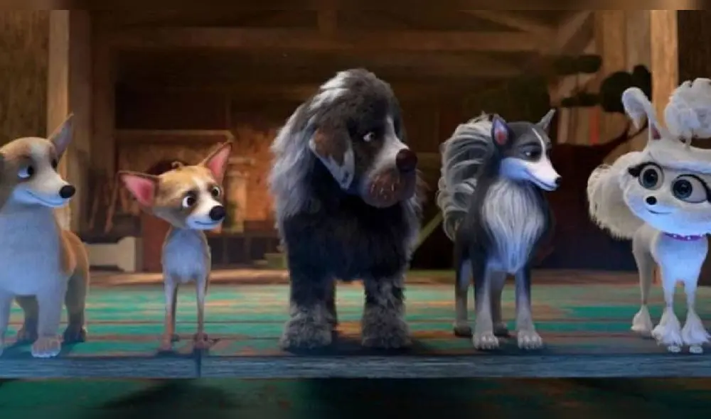 Película 'Aventuras Caninas: El Misterio de la Corona', trae a unas peculiares mascotas y diversión. Foto: difusión