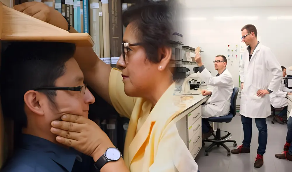 Esta sería la principal razón por la que los peruanos tienen la estatura más baja de Sudamérica, según estudio genético. Foto: composición LR / Andina / Daniel Duart