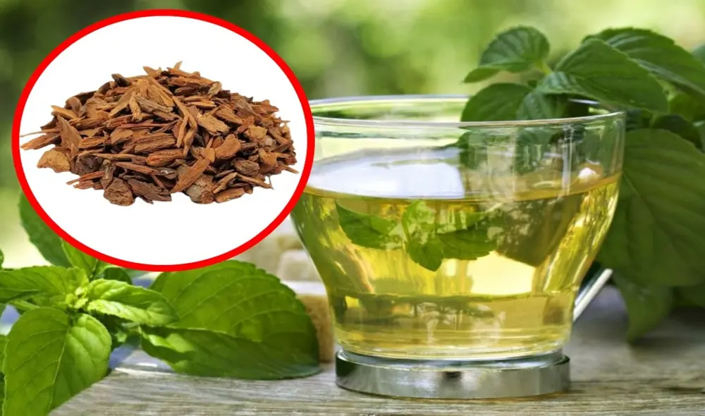 La cordillera de los Andes, con su rica biodiversidad, representa un invaluable tesoro cultural y científico. Foto: Composición LR /  Semana