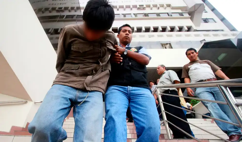 Norma se aprobó en el Congreso el último 7 de noviembre. Foto: Andina