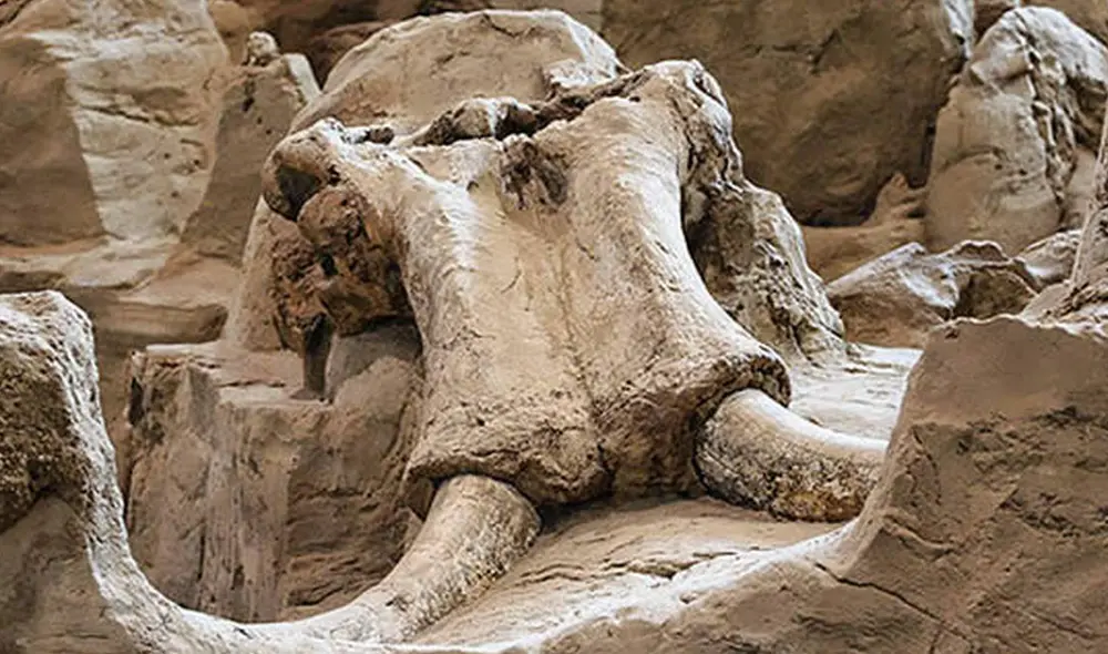 Los restos sugieren que el sitio fue utilizado por cazadores paleolíticos para procesar animales como mamuts, caballos y renos. Imagen referencial. Foto: Difusión