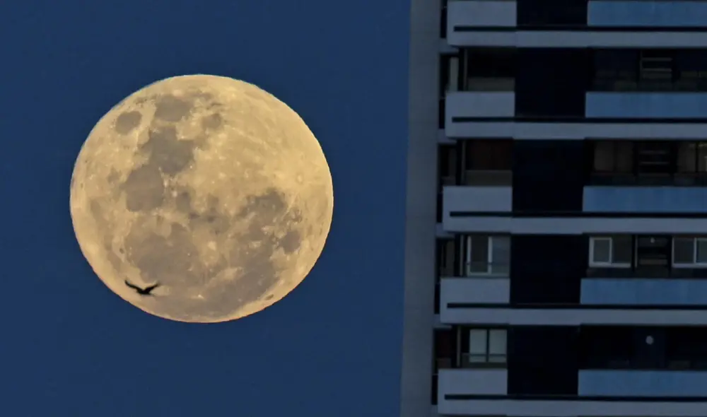Una superluna es una ocasión para ver a la Luna más grande de lo normal. Foto: difusión