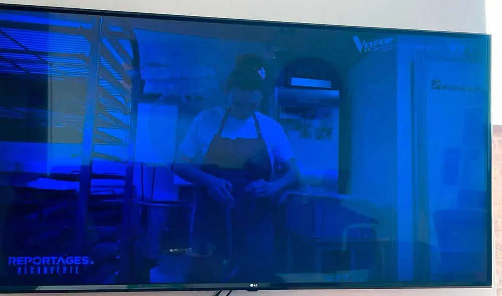 Así luce un Smart TV que tiene las tiras LED totalmente desgastadas. Foto: Leboncoin