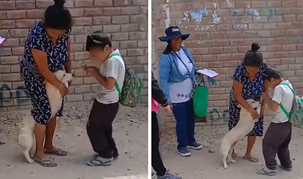 "La mejor forma de distraer a tu mejor amigo", reaccionaron usuarios. Foto: composición LR/ TikTok "La mejor forma de distraer a tu mejor amigo", reaccionaron usuarios. Foto: composición LR/ TikTok