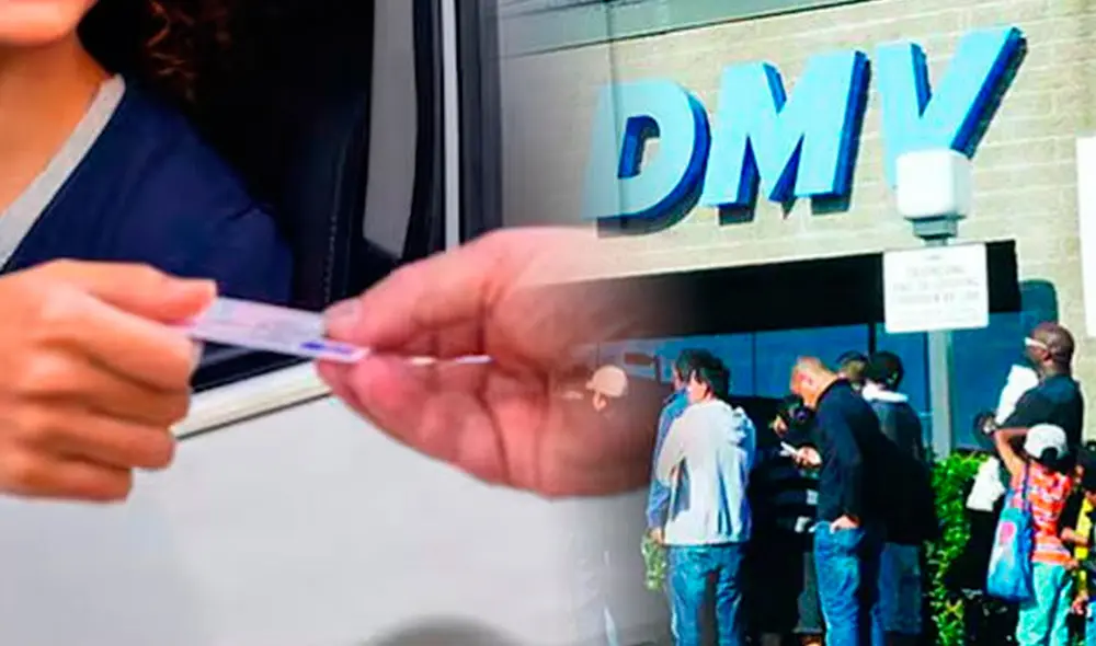 A simple vista, el diseño y estructura del sitio web NeedTags.com podría confundirse con las páginas oficiales del Departamento de Vehículos Motorizados de California. Foto: composición LR/AFP A simple vista, el diseño y estructura del sitio web NeedTags.com podría confundirse con las páginas oficiales del Departamento de Vehículos Motorizados de California. Foto: composición LR/AFP