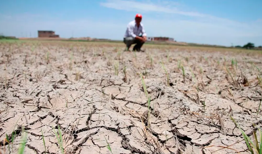 Piura se encuentra en estado de emergencia por escasez de agua. Foto: difusión