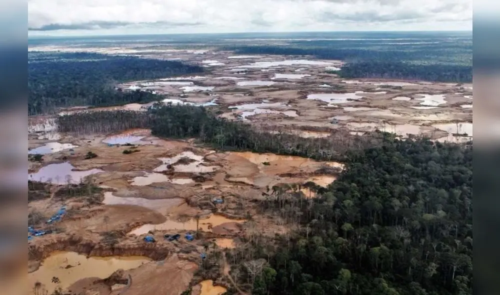 Abordarán el impacto de las economías ilegales en la naturaleza y en la población. También lo concerniente al desarrollo económico sostenible. Abordarán el impacto de las economías ilegales en la naturaleza y en la población. También lo concerniente al desarrollo económico sostenible.