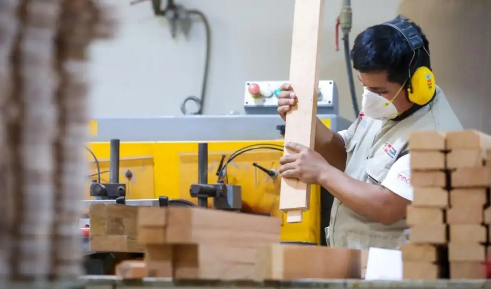 Las convocatorias, organizadas por el MTPE, duran cinco días y reúnen a empresas privadas que buscan diferentes perfiles. Foto: Andina Las convocatorias, organizadas por el MTPE, duran cinco días y reúnen a empresas privadas que buscan diferentes perfiles. Foto: Andina