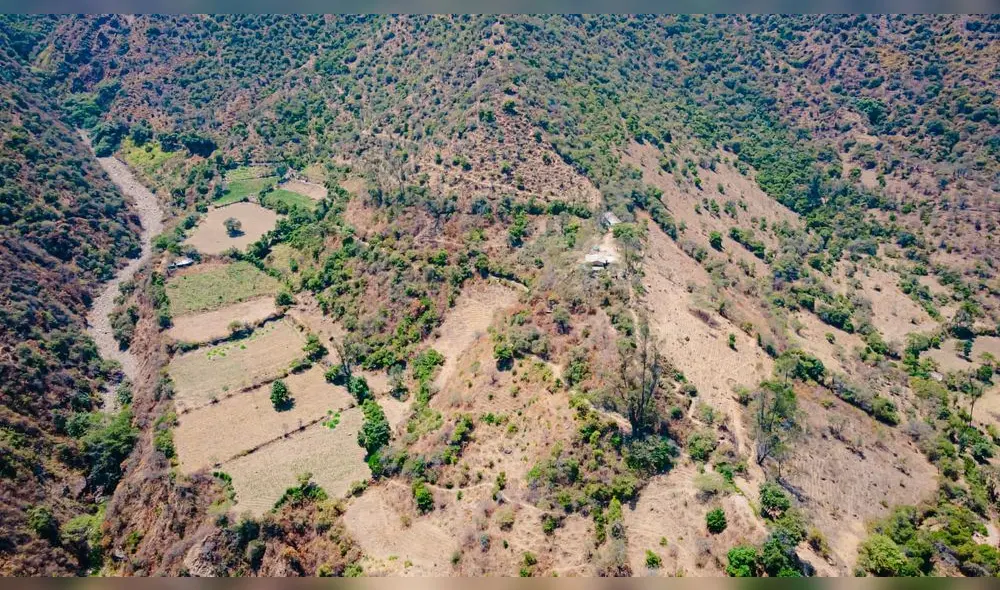 Importante iniciativa para evitar desastres naturales Importante iniciativa para evitar desastres naturales