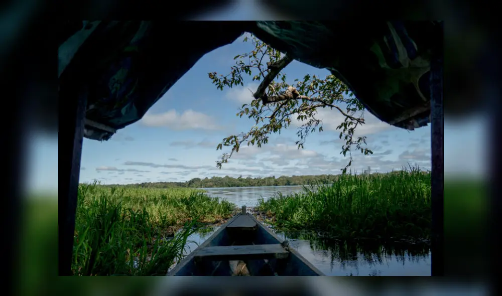 IA logró identificar 128 posibles pistas en seis regiones amazónicas del Perú. Foto: Composición La República. IA logró identificar 128 posibles pistas en seis regiones amazónicas del Perú. Foto: Composición La República.