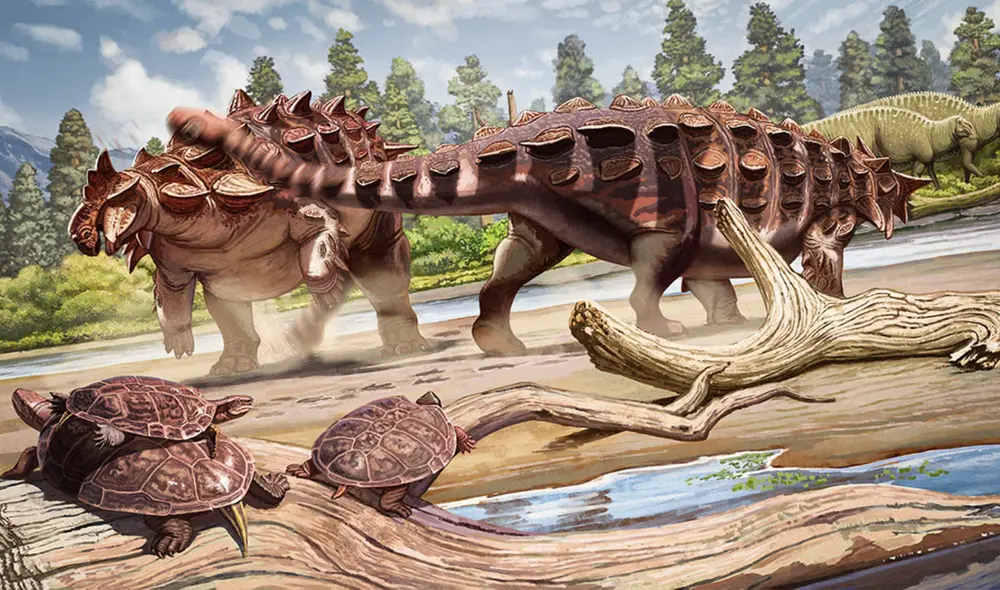 Descubren en China a Huaxiazhoulong shouwen, un dinosaurio acorazado de 72 millones de años. Este fósil, hallado en Jiangxi, es el anquilosaurio más grande del país y destaca por su armadura y cola defensiva. Foto: Ye Jianhao Descubren en China a Huaxiazhoulong shouwen, un dinosaurio acorazado de 72 millones de años. Este fósil, hallado en Jiangxi, es el anquilosaurio más grande del país y destaca por su armadura y cola defensiva. Foto: Ye Jianhao