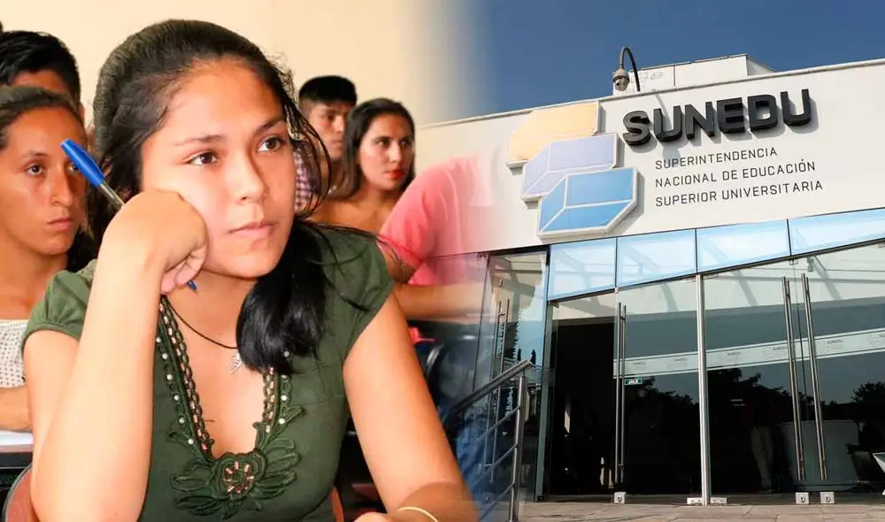 Las universidades licenciadas que otorgaría el título a universitarios, deberán considerar "las preferencias académicas y económicas" del estudiante. Foto: composición LR/Andina