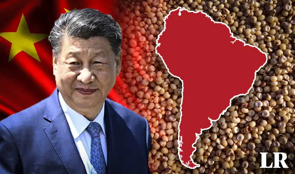 China oficializa la apertura de su mercado para el sorgo brasileño, buscando reducir su dependencia de EE. UU. Este acuerdo incluye también productos como uvas, sésamo y aceites. Foto: composición LR/AFP