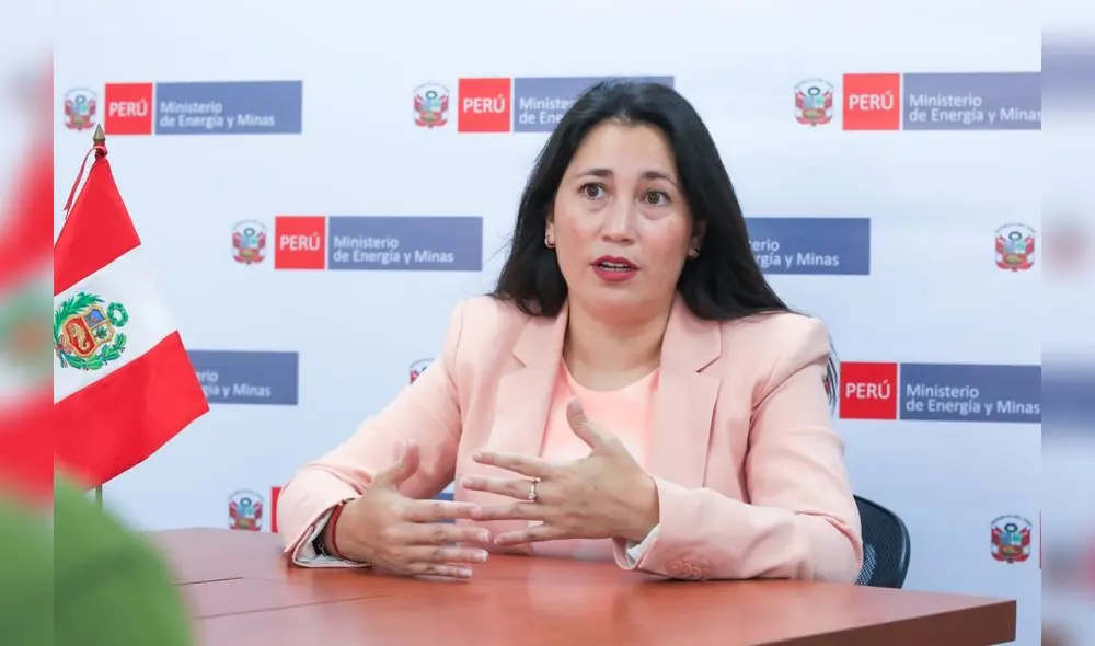 En entrevista con La República, la Dra. Mayra Figueroa, parte del equipo técnico que elaboró la Ley MAPE, aseguró que se encuentran a total disposición para explicar los detalles de la norma.