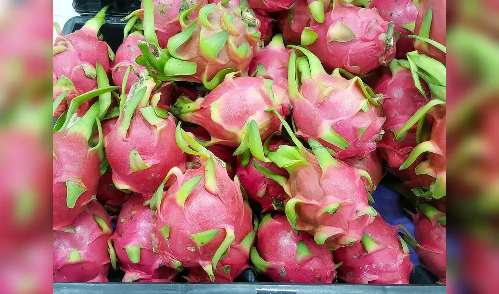 Su forma, color y propiedades convierten a las pitahayas en una fruta única en todo el mundo. Foto: Pixabay