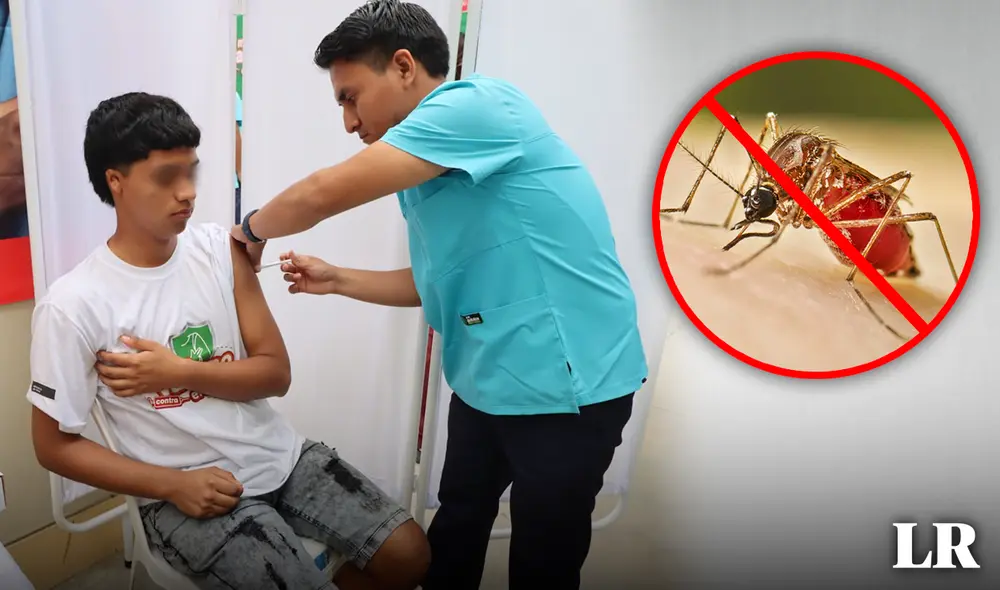 objetivo. Los adolescentes y niños son los primeros en recibir la vacuna contra el dengue. Foto: composición LR objetivo. Los adolescentes y niños son los primeros en recibir la vacuna contra el dengue. Foto: composición LR