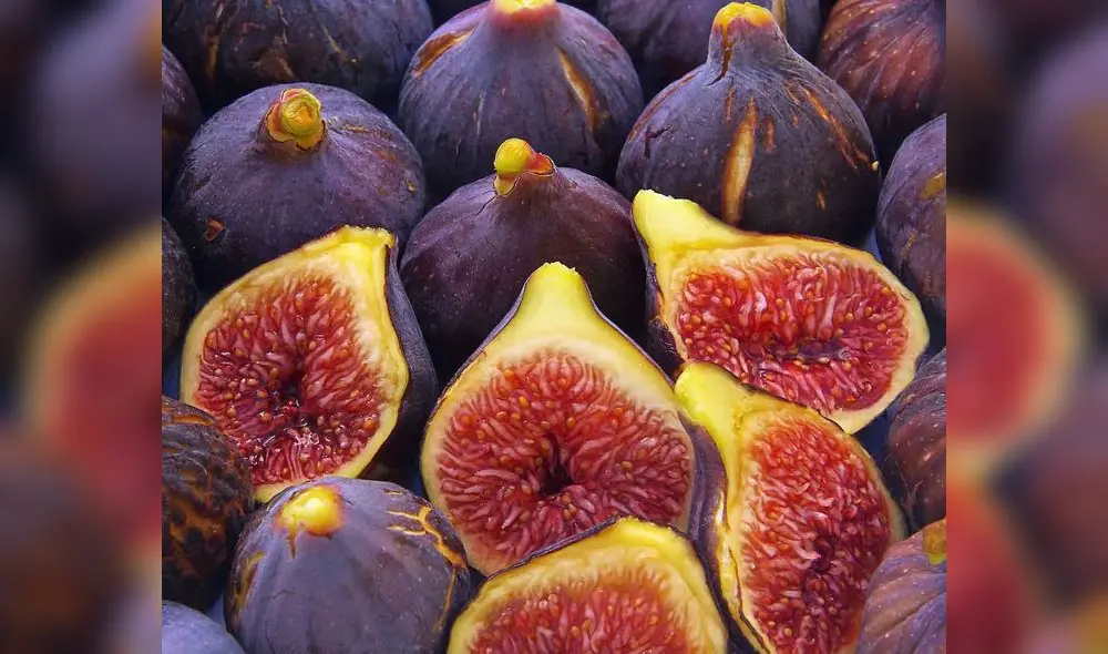 Esta fruta data de hace más de 11.000 años en el valle de Jordan, siendo parte integral de la alimentación humana desde aquellos tiempos. Foto: Composición LR. Esta fruta data de hace más de 11.000 años en el valle de Jordan, siendo parte integral de la alimentación humana desde aquellos tiempos. Foto: Composición LR.