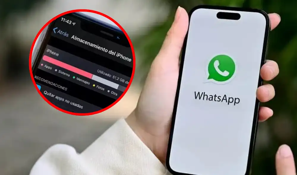 Desactivar la descarga automática de archivos en WhatsApp es un método efectivo. Foto: Composición LR | PN Mar de Plata | La Manzana Mordida.