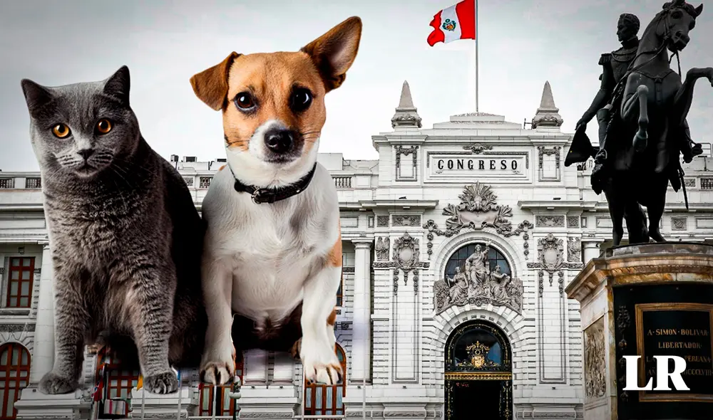 Congreso propone licencia de un día por fallecimiento de mascotas y la creación del Registro Nacional de Mascotas. | Composición: Gerson Cardoso / La República.