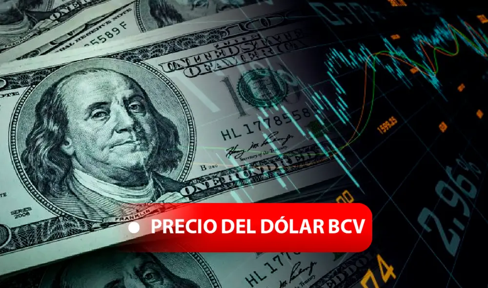 Precio del dólar BCV en Venezuela hoy, sábado 30 de noviembre de 2024, vía Banco Central. Foto: composición LR
